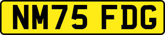 NM75FDG
