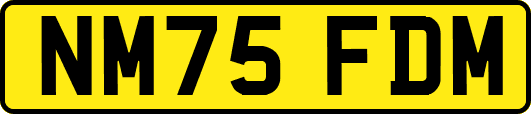 NM75FDM