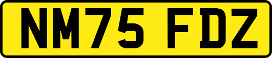 NM75FDZ