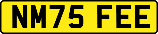 NM75FEE