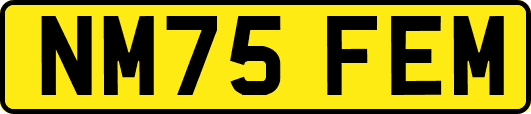 NM75FEM