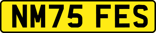 NM75FES