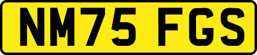 NM75FGS