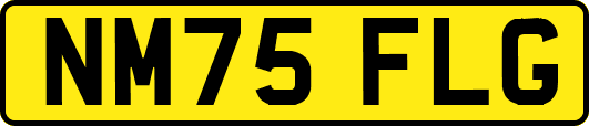 NM75FLG