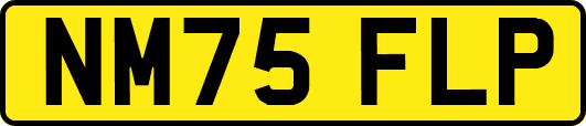 NM75FLP