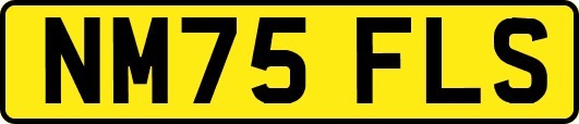 NM75FLS