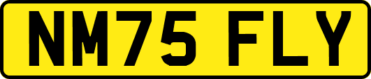 NM75FLY