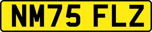 NM75FLZ