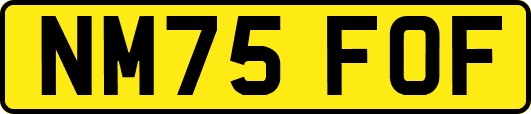 NM75FOF