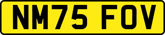 NM75FOV