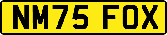 NM75FOX