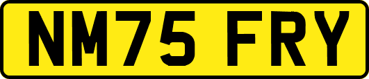 NM75FRY