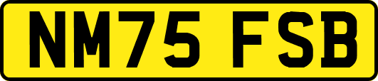 NM75FSB