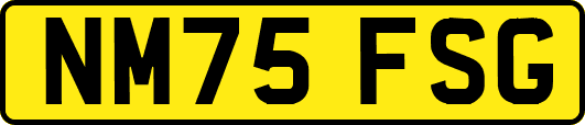 NM75FSG