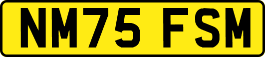 NM75FSM