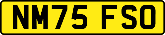 NM75FSO