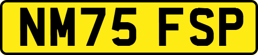 NM75FSP