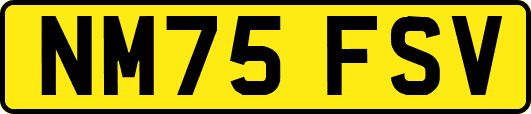 NM75FSV
