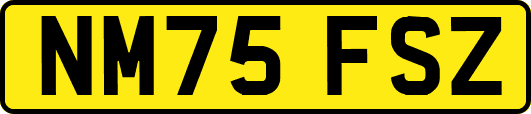 NM75FSZ
