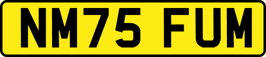 NM75FUM