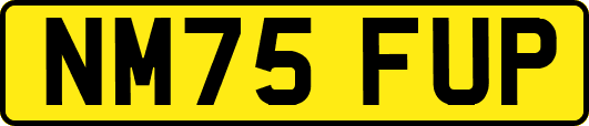 NM75FUP
