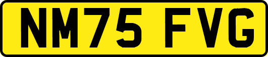 NM75FVG