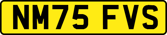NM75FVS