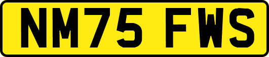 NM75FWS