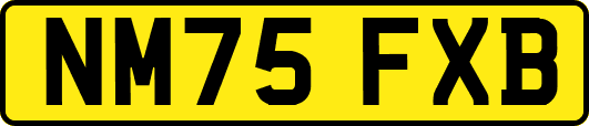 NM75FXB
