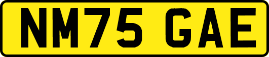 NM75GAE