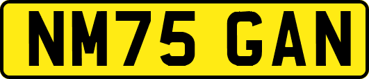NM75GAN
