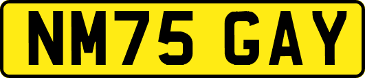 NM75GAY