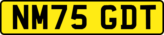 NM75GDT