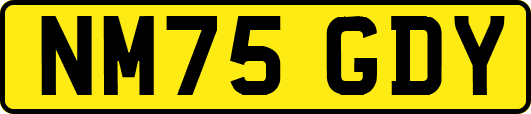 NM75GDY
