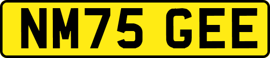 NM75GEE