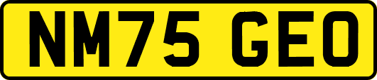 NM75GEO