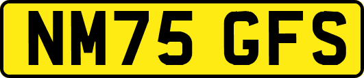 NM75GFS
