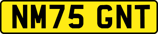 NM75GNT