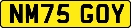 NM75GOY