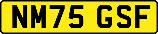 NM75GSF