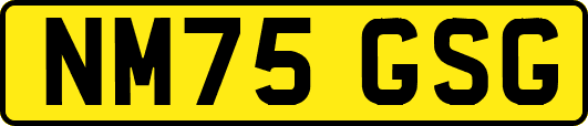 NM75GSG