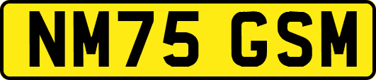 NM75GSM