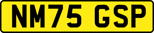 NM75GSP