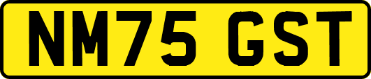 NM75GST