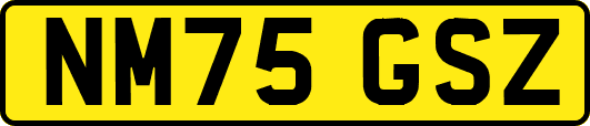 NM75GSZ