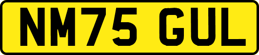 NM75GUL