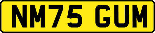 NM75GUM