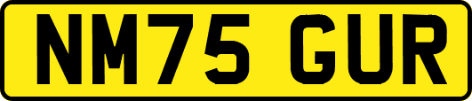 NM75GUR