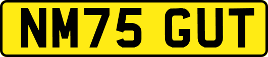 NM75GUT