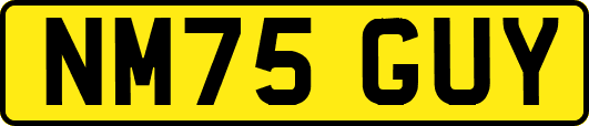 NM75GUY
